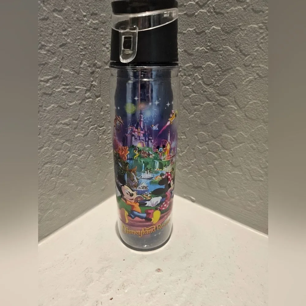 Disneyland Resort Water Bottle Double Wall Insulated 11